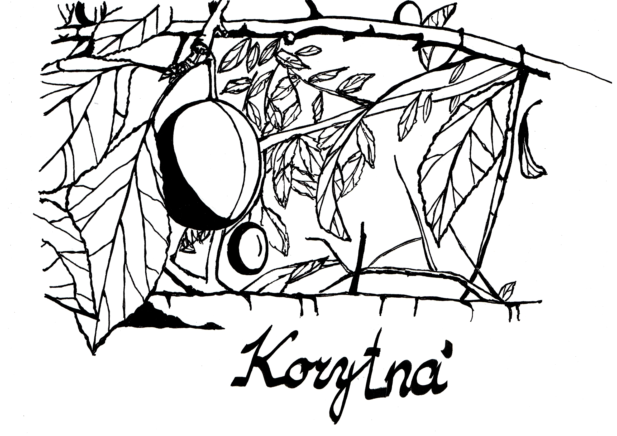 korytná.2