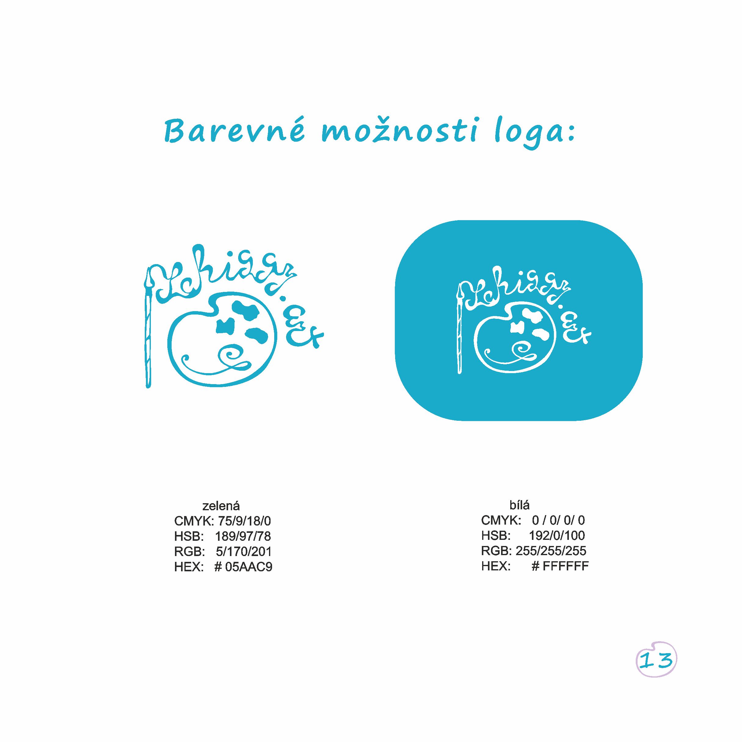 BBSA13